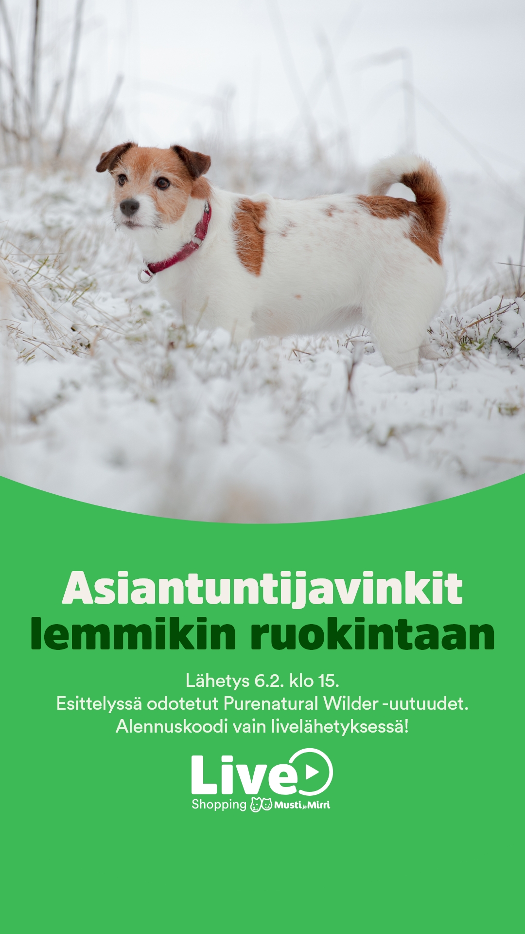 Katso video Live Shopping - Helmikuu