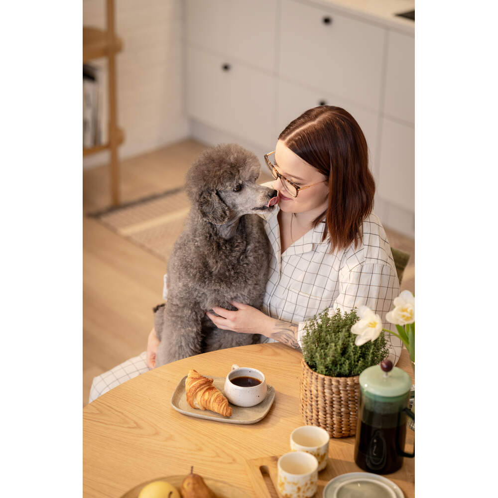 Titta på video Stärk relationen med din hund